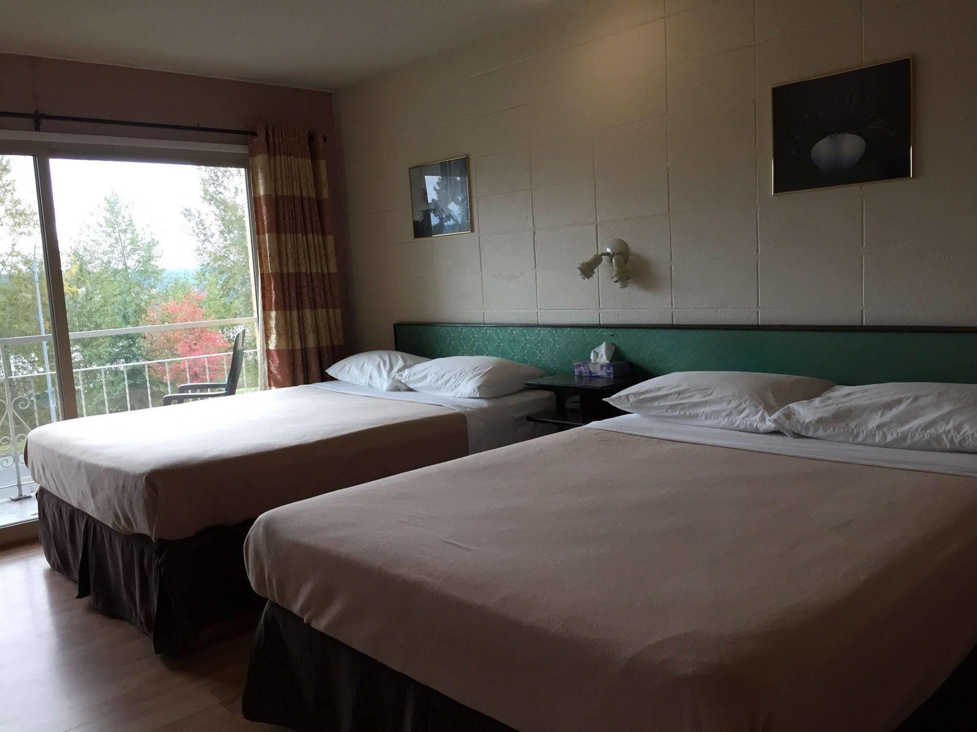 Holiday House Motel Ледісміт Екстер'єр фото